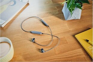 Panasonic wireless headset RP-HTX20BE-H, grey цена и информация | Наушники | pigu.lt