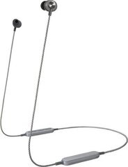 Panasonic wireless headset RP-HTX20BE-H, grey цена и информация | Наушники | pigu.lt