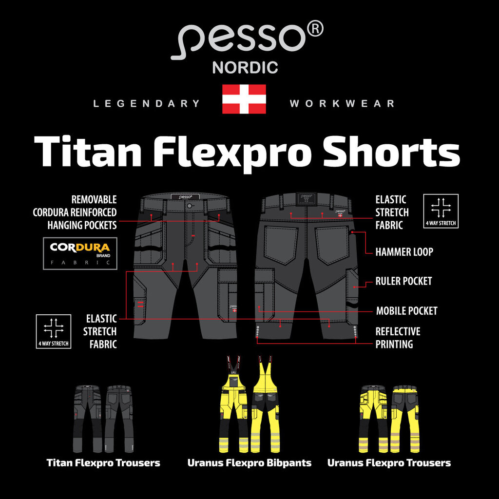 Šortai su kišenėmis Pesso Titan Flexpro, pilki цена и информация | Darbo rūbai | pigu.lt