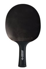 Ракетка для настольного тенниса Donic-Schildkrot CarboTec 900 цена и информация | Ракетки для настольного тенниса, чехлы и наборы | pigu.lt