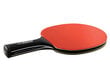 Stalo teniso raketė Donic-Schildkrot CarboTec 900 цена и информация | Stalo teniso raketės, dėklai ir rinkiniai | pigu.lt