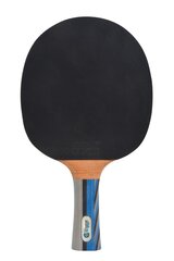 Ракетка для настольного тенниса Donic Schildkrot Ovtcharov 3000 цена и информация | Ракетки для настольного тенниса, чехлы и наборы | pigu.lt
