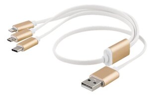 Epzi USB-MULTI05, USB C, Lightining, Micro USB, 0.5 м цена и информация | Кабели для телефонов | pigu.lt