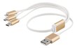 Epzi USB-MULTI05, USB C, Lightining, Micro USB, 0.5m kaina ir informacija | Laidai telefonams | pigu.lt