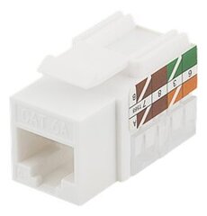 Deltaco MD-124, RJ45 UTP цена и информация | Кабели и провода | pigu.lt