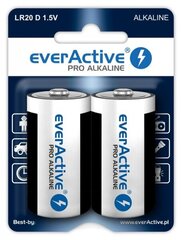 everActive EVLR20-PRO (2) цена и информация | Аккумуляторы для видеокамер | pigu.lt