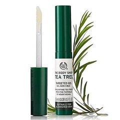 Arbatmedžio gelis The Body Shop Tea Tree 2,5 ml kaina ir informacija | Veido aliejai, serumai | pigu.lt