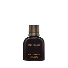 Kvapusis vanduo Dolce&Gabbana Intenso Pour Homme EDP vyrams 40 ml kaina ir informacija | Kvepalai vyrams | pigu.lt