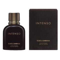 Парфюмированная вода для мужчин Dolce&Gabbana Intenso Pour Homme EDP 40 мл цена и информация | Мужские духи | pigu.lt