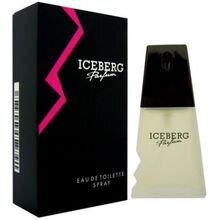 Tualetinis vanduo Iceberg Femme EDT moterims, 100ml kaina ir informacija | Kvepalai moterims | pigu.lt