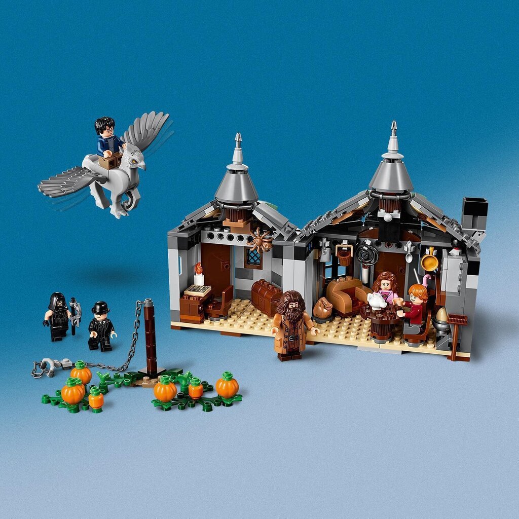 75947 LEGO® Harry Potter хижина Хагрида: спасение Клювокрыла цена | pigu.lt