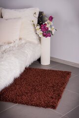 Kilimas Shaggy Brown, 200 x 290 cm цена и информация | Ковры | pigu.lt