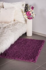 Kilimas Shaggy Violet, 120 x 170 cm цена и информация | Ковры | pigu.lt