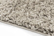 Kilimas Shaggy Beige, 160 x 220 cm kaina ir informacija | Kilimai | pigu.lt