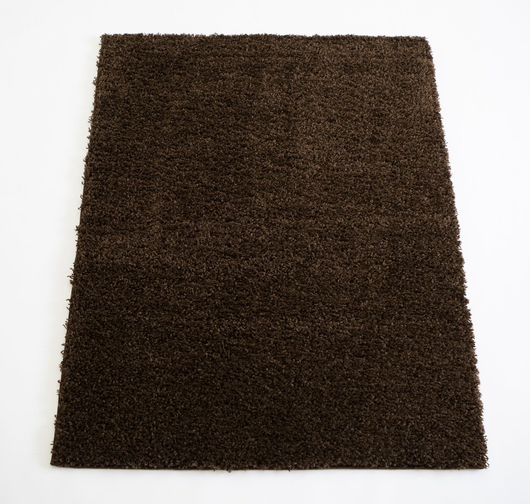 Kilimas Shaggy Brown, 160 x 220 cm цена и информация | Kilimai | pigu.lt