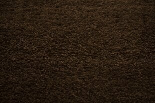 Kilimas Shaggy Brown, 160 x 220 cm цена и информация | Ковры | pigu.lt