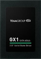 TEAMGROUP T253X1240G0C101 цена и информация | Внутренние жёсткие диски (HDD, SSD, Hybrid) | pigu.lt