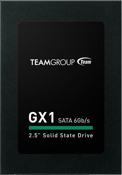 TEAMGROUP T253X1960G0C101 цена и информация | Vidiniai kietieji diskai (HDD, SSD, Hybrid) | pigu.lt