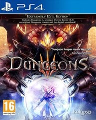 PlayStation 4 Dungeons 3 kaina ir informacija | Kompiuteriniai žaidimai | pigu.lt