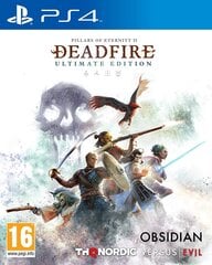 PC Pillars of Eternity II - Deadfire цена и информация | Компьютерные игры | pigu.lt