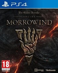 PS4 The Elder Scrolls Online Morrowind цена и информация | Bethesda Компьютерная техника | pigu.lt