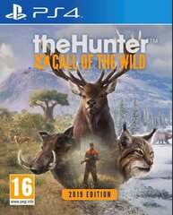 The Hunter: Call of the Wild 2019 Edition PS4 kaina ir informacija | Kompiuteriniai žaidimai | pigu.lt