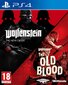 Wolfenstein: Double Pack kaina ir informacija | Kompiuteriniai žaidimai | pigu.lt