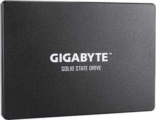 Gigabyte GP-GSTFS31100TNTD цена и информация | Внутренние жёсткие диски (HDD, SSD, Hybrid) | pigu.lt