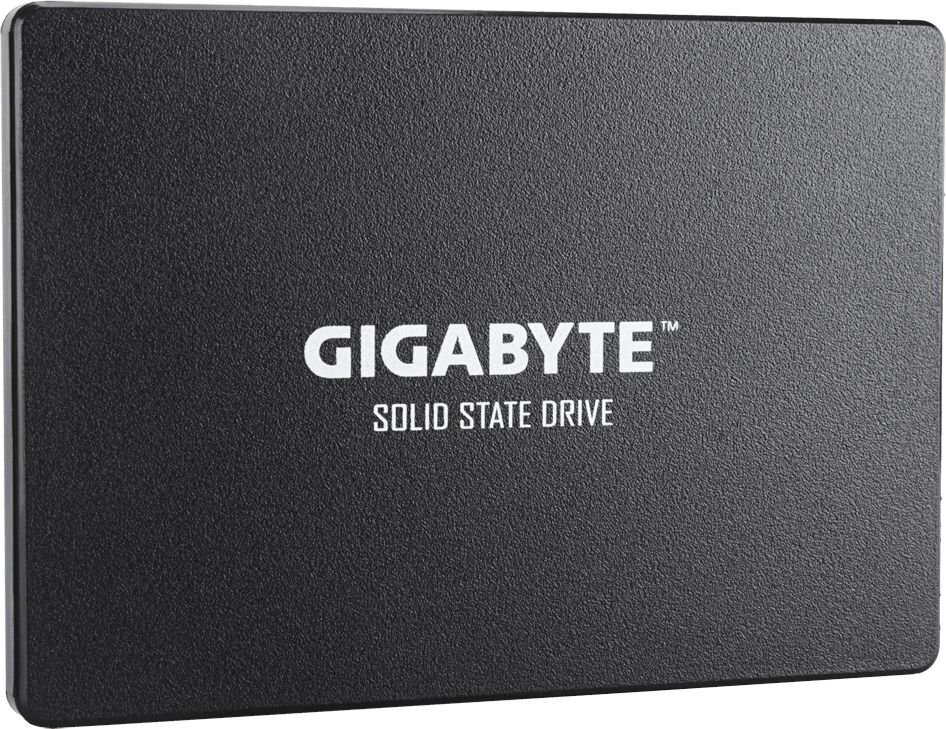 Gigabyte GP-GSTFS31100TNTD kaina ir informacija | Vidiniai kietieji diskai (HDD, SSD, Hybrid) | pigu.lt