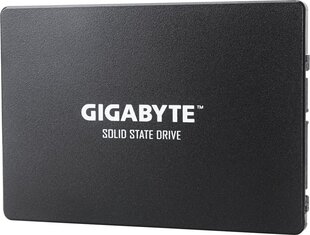 Gigabyte GP-GSTFS31100TNTD kaina ir informacija | Vidiniai kietieji diskai (HDD, SSD, Hybrid) | pigu.lt
