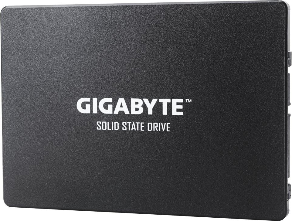 Gigabyte GP-GSTFS31100TNTD цена и информация | Vidiniai kietieji diskai (HDD, SSD, Hybrid) | pigu.lt