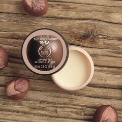 Lūpų balzamas The Body Shop Shea 10 ml kaina ir informacija | Lūpų dažai, blizgiai, balzamai, vazelinai | pigu.lt