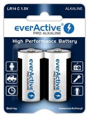 EverActive EVLR14-PRO (2) цена и информация | Аккумуляторы для видеокамер | pigu.lt