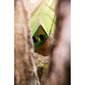 Tentas Amazonas Wing, žalias цена и информация | Hamakai | pigu.lt