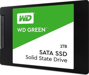 WDC WDS100T2G0A kaina ir informacija | Vidiniai kietieji diskai (HDD, SSD, Hybrid) | pigu.lt