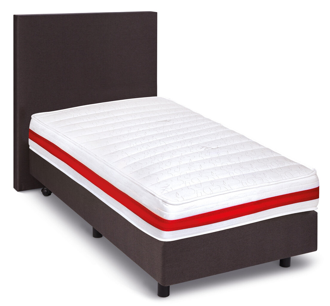 Čiužinys Ted Bed Termoflex, 160x200 cm kaina ir informacija | Čiužiniai | pigu.lt