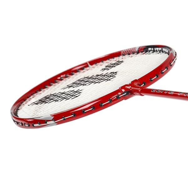Badmintono rinkinys Wish Alumtec 5566 цена и информация | Badmintonas | pigu.lt