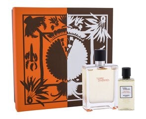 Rinkinys Terre D'Hermes by Hermes vyrams: Terre D'Hermes EDT 100ml + Terre D'Hermes dušo želė 80ml kaina ir informacija | Kvepalai vyrams | pigu.lt