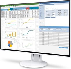 Eizo EV2457-WT kaina ir informacija | Monitoriai | pigu.lt