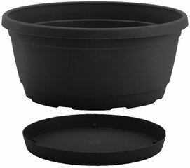 Nicoli чаша с тарелкой Rumba 20, антрацит цена и информация | Вазоны | pigu.lt