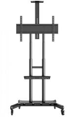 Multibrackets Public Floorstand Basic 180 55-80” цена и информация | Кронштейны и крепления для телевизоров | pigu.lt