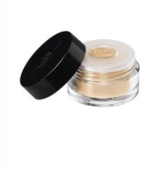 Birūs akių šešėliai Make up for Ever Star Lit Powder 1,4 g, Ivory kaina ir informacija | Akių šešėliai, pieštukai, blakstienų tušai, serumai | pigu.lt