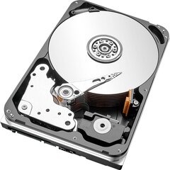 Drive server HDD Seagate Exos X16 (16 TB; 3.5 Inch; SATA III) kaina ir informacija | Vidiniai kietieji diskai (HDD, SSD, Hybrid) | pigu.lt