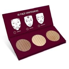 Контурная палитра для лица Affect Contour Palette 3 x 6 г цена и информация | Пудры, базы под макияж | pigu.lt