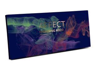 Палитра теней для глаз Affect Evening Mood 10x2,5 г цена и информация | Тушь, средства для роста ресниц, тени для век, карандаши для глаз | pigu.lt