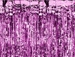 Juostelių dekoracija Lietutis, violetinis, 90 x 250 cm цена и информация | Dekoracijos šventėms | pigu.lt
