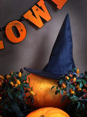 Шляпа ведьмы, черная, 1 коробка/40 шт цена и информация | Карнавальные костюмы | pigu.lt