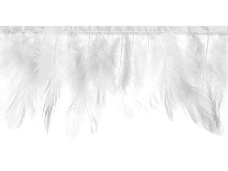 Girlianda Feather White 17 cm, 1 m kaina ir informacija | Dekoracijos šventėms | pigu.lt