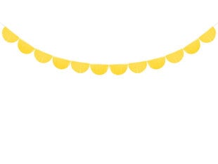 Гирлянда Fringe Yellow 20 см x 3 м цена и информация | Праздничные декорации | pigu.lt