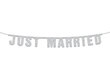 Girlianda Just Married, sidabro spalvos, 18x170 cm, 1 pak/1 vnt kaina ir informacija | Dekoracijos šventėms | pigu.lt
